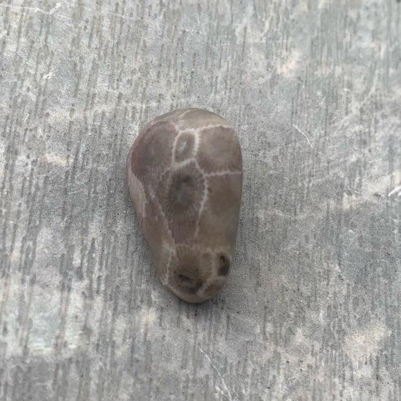 Petoskey stone - Picture 2 of 6